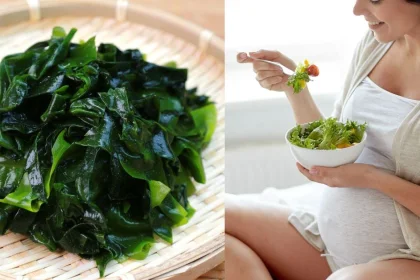 Mẹ Bầu Ăn Rong Biển Sấy Khô Được Không? Lợi Ích Và...