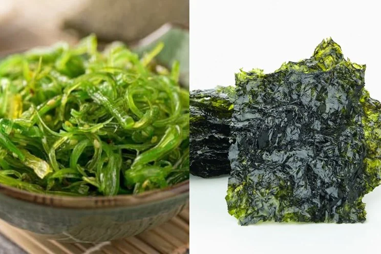 7 Khoáng Chất Có Trong Rong Biển Mà Nhiều Người...