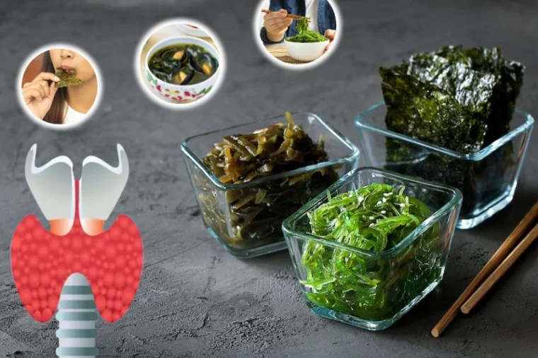Tuyến giáp có ăn được rong biển sấy khô không? Bí...