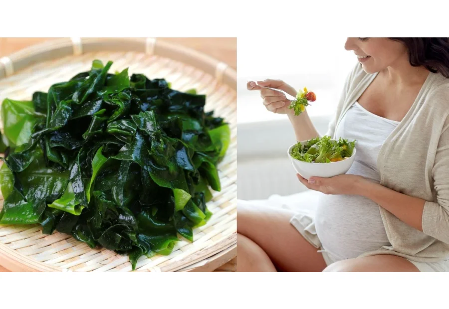 Mẹ Bầu Ăn Rong Biển Sấy Khô Được Không? Lợi Ích Và...