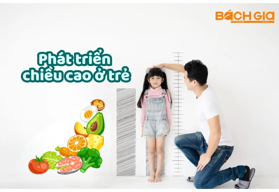 Rong Biển Ăn Liền Cho Trẻ Em Giúp Bé Phát Triển Cao...