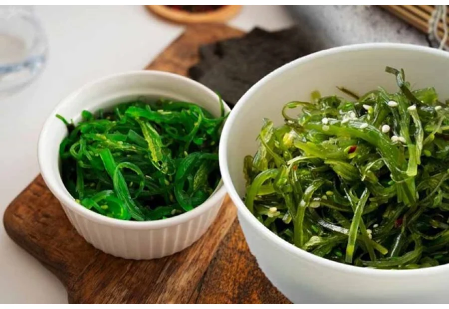 Rong Biển Có Phải Hải Sản Không? Giải Đáp Từ Chuyên...
