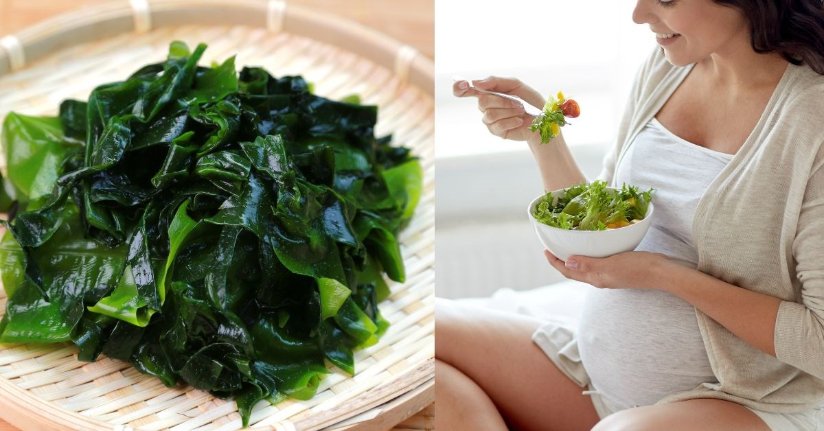 Mẹ Bầu Ăn Rong Biển Sấy Khô Được Không? Lợi Ích Và Lưu Ý Quan Trọng