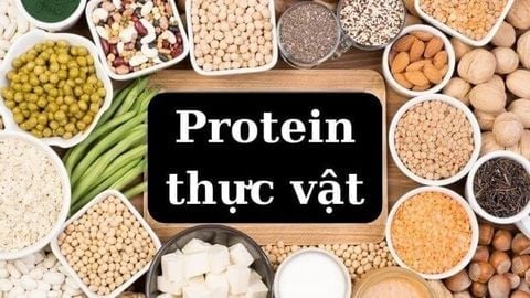 Xu Hướng Ăn Vặt Lành Mạnh Cho Trẻ Em 2026