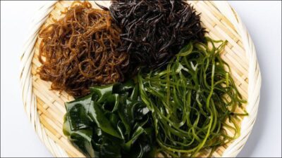 Khả năng thanh nhiệt của rong biển
