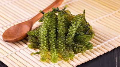 rong biển ăn được rong nho